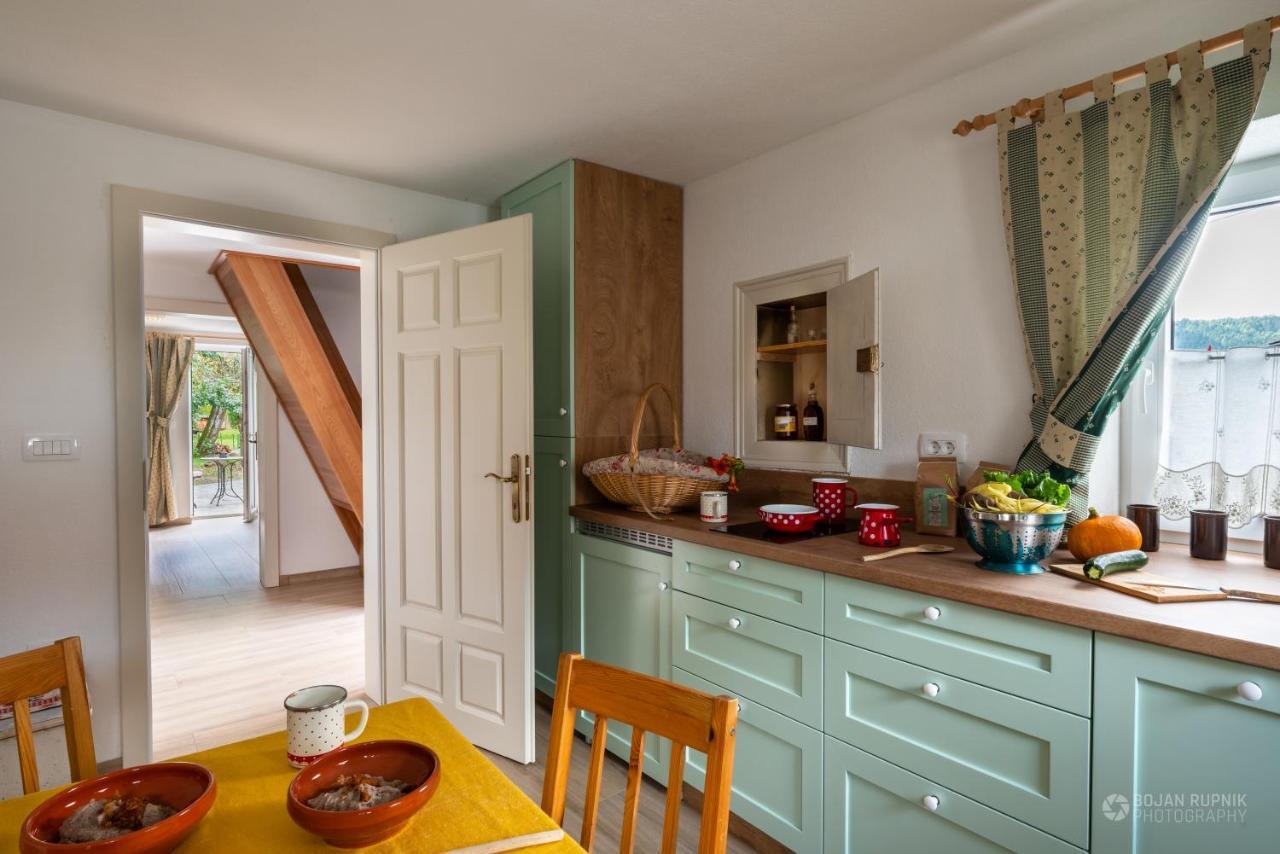 Cherry House - Cosy House - Ideal For Bear Watching, In The Neighborhood Of The Medieval Sneznik Castle Stari Trg pri Lozu Dış mekan fotoğraf