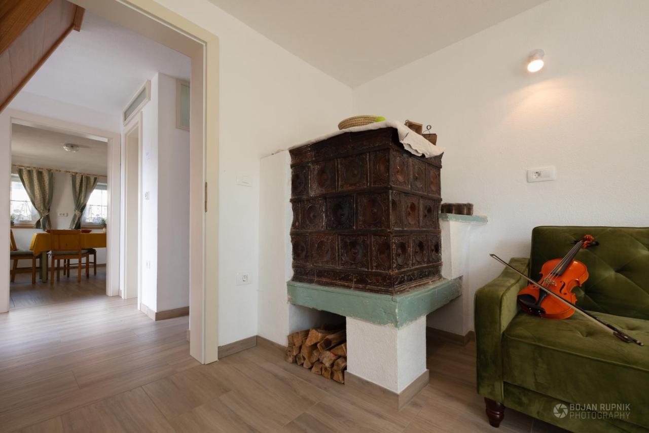 Cherry House - Cosy House - Ideal For Bear Watching, In The Neighborhood Of The Medieval Sneznik Castle Stari Trg pri Lozu Dış mekan fotoğraf
