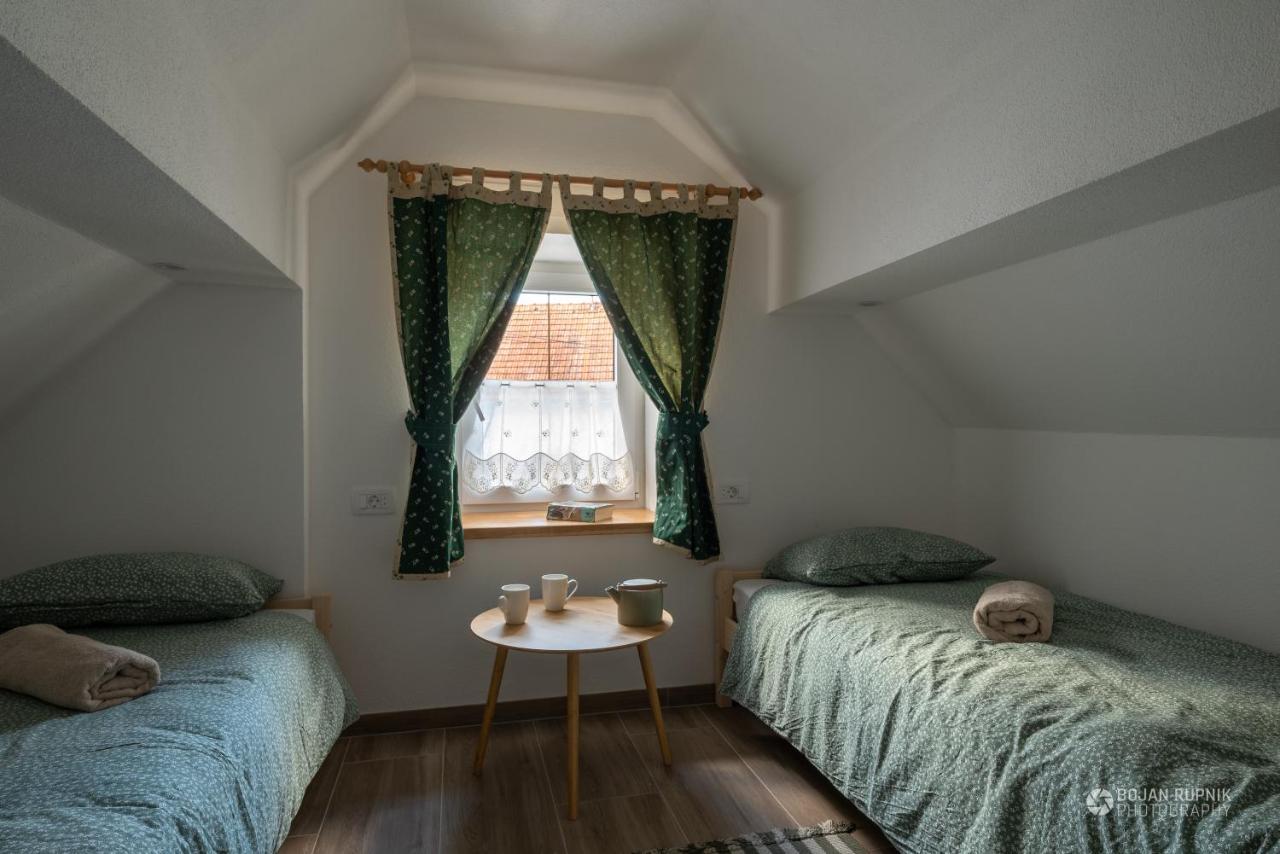 Cherry House - Cosy House - Ideal For Bear Watching, In The Neighborhood Of The Medieval Sneznik Castle Stari Trg pri Lozu Dış mekan fotoğraf