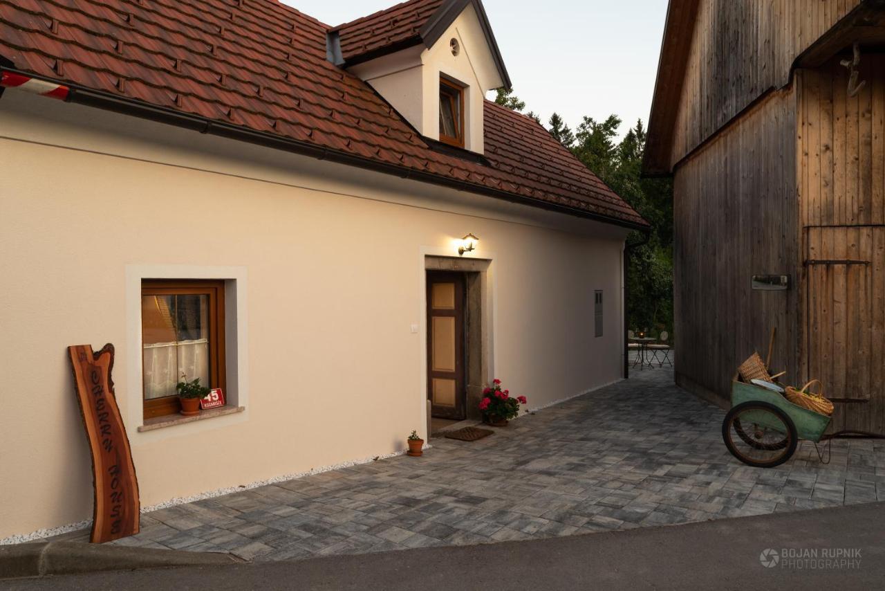 Cherry House - Cosy House - Ideal For Bear Watching, In The Neighborhood Of The Medieval Sneznik Castle Stari Trg pri Lozu Dış mekan fotoğraf