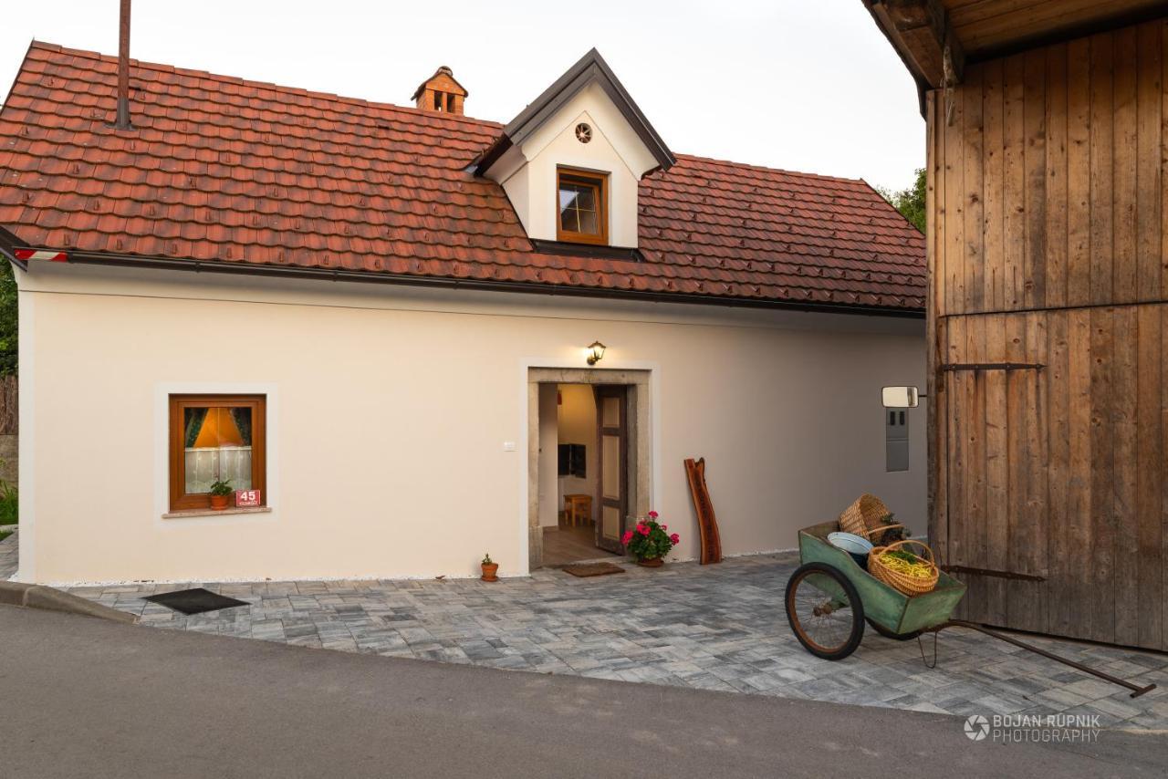 Cherry House - Cosy House - Ideal For Bear Watching, In The Neighborhood Of The Medieval Sneznik Castle Stari Trg pri Lozu Dış mekan fotoğraf