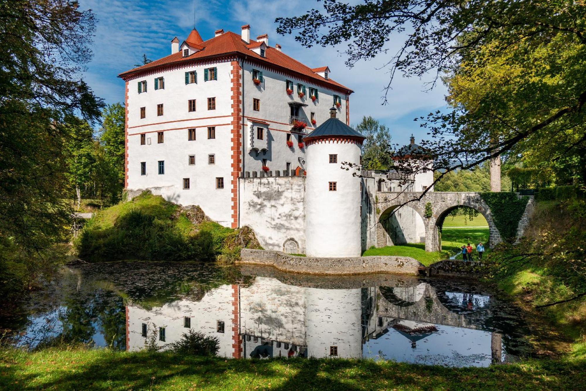 Cherry House - Cosy House - Ideal For Bear Watching, In The Neighborhood Of The Medieval Sneznik Castle Stari Trg pri Lozu Dış mekan fotoğraf
